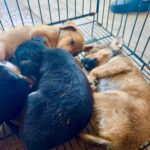 548325726 122110231886994892 1369455302741621010 n