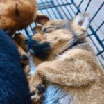 548877004 122110231802994892 8050857543839869192 n