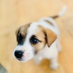 554657693 122111682848994892 6730974084501328768 n