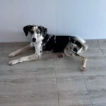 581625194 1508966070153567 3709572554102722935 n